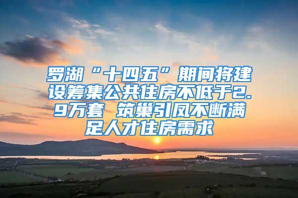 羅湖“十四五”期間將建設(shè)籌集公共住房不低于2.9萬套 筑巢引鳳不斷滿足人才住房需求