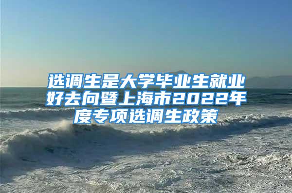 選調(diào)生是大學(xué)畢業(yè)生就業(yè)好去向暨上海市2022年度專項選調(diào)生政策