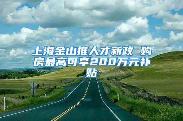 上海金山推人才新政 購房最高可享200萬元補貼