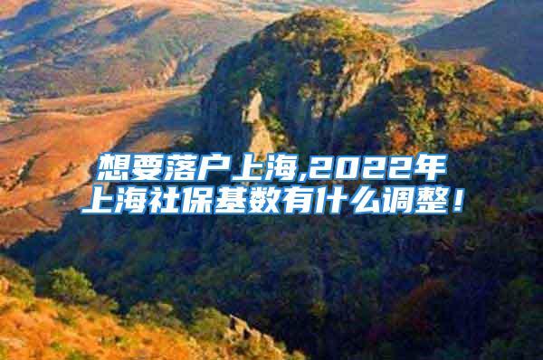 想要落戶上海,2022年上海社?；鶖?shù)有什么調(diào)整！