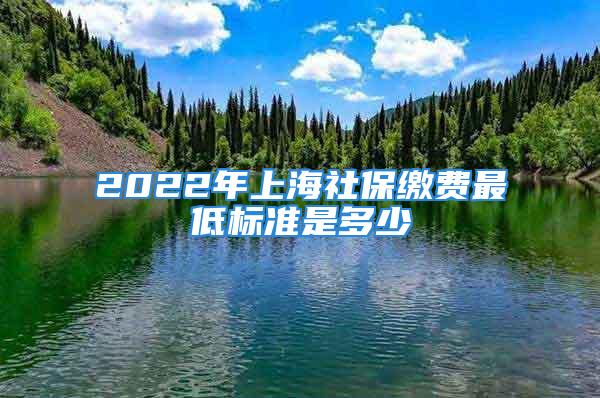 2022年上海社保繳費(fèi)最低標(biāo)準(zhǔn)是多少