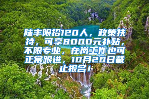 陸豐限招120人，政策扶持，可享8000元補(bǔ)貼，不限專業(yè)，在崗工作也可正常跟進(jìn)，10月20日截止報(bào)名！