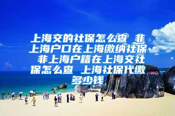 上海交的社保怎么查 非上海戶口在上海繳納社保 非上海戶籍在上海交社保怎么查 上海社保代繳多少錢