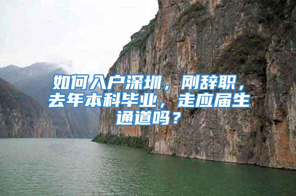 如何入戶深圳，剛辭職，去年本科畢業(yè)，走應(yīng)屆生通道嗎？