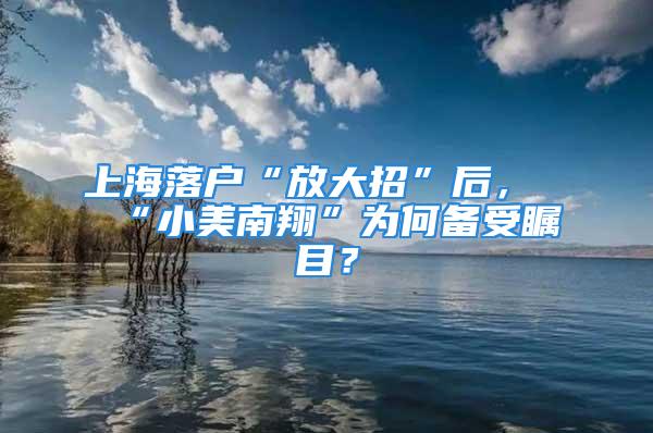 上海落戶(hù)“放大招”后，“小美南翔”為何備受矚目？