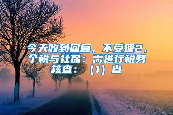 今天收到回復(fù)，不受理2、個(gè)稅與社保：需進(jìn)行稅務(wù)核查：（1）查