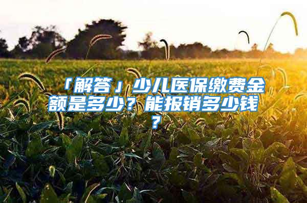 「解答」少兒醫(yī)保繳費(fèi)金額是多少？能報(bào)銷多少錢？