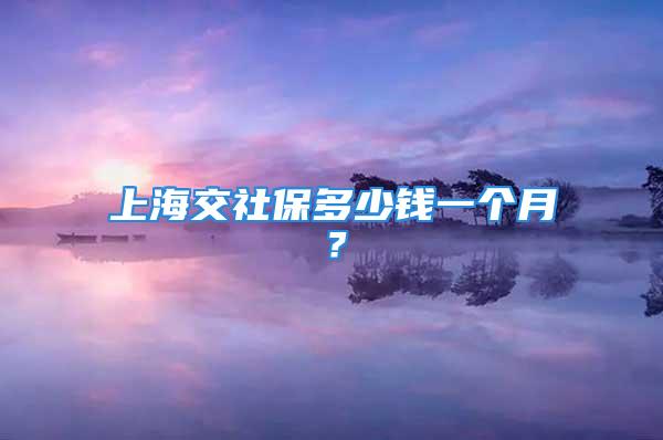 上海交社保多少錢一個月？