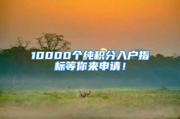 10000個(gè)純積分入戶指標(biāo)等你來申請(qǐng)！