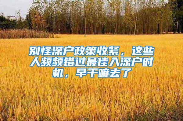 別怪深戶政策收緊，這些人頻頻錯過最佳入深戶時機，早干嘛去了