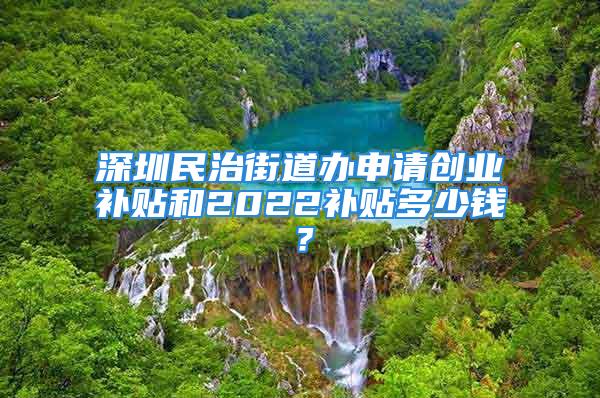 深圳民治街道辦申請(qǐng)創(chuàng)業(yè)補(bǔ)貼和2022補(bǔ)貼多少錢？