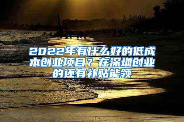 2022年有什么好的低成本創(chuàng)業(yè)項(xiàng)目？在深圳創(chuàng)業(yè)的還有補(bǔ)貼能領(lǐng)