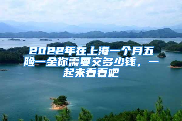 2022年在上海一個(gè)月五險(xiǎn)一金你需要交多少錢(qián)，一起來(lái)看看吧