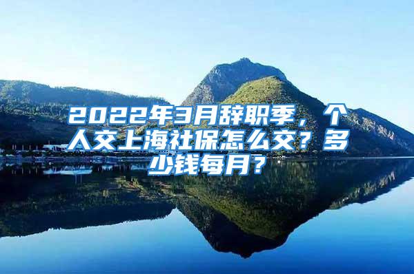 2022年3月辭職季，個(gè)人交上海社保怎么交？多少錢每月？