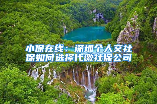 小保在線：深圳個(gè)人交社保如何選擇代繳社保公司