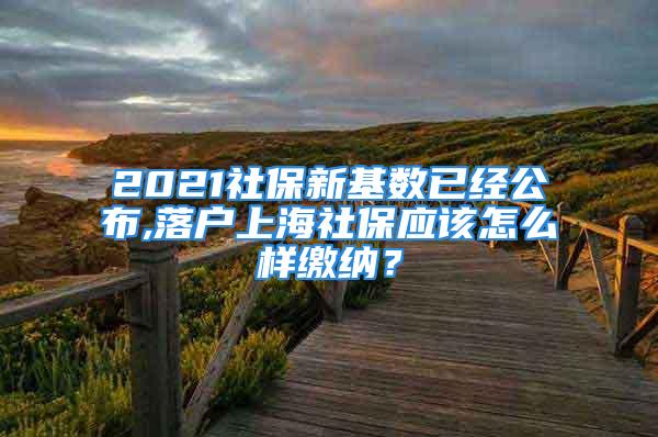 2021社保新基數(shù)已經(jīng)公布,落戶上海社保應(yīng)該怎么樣繳納？