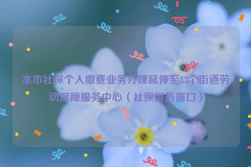 本市社保個人繳費業(yè)務(wù)辦理延伸至33個街道勞動保障服務(wù)中心（社保服務(wù)窗口）