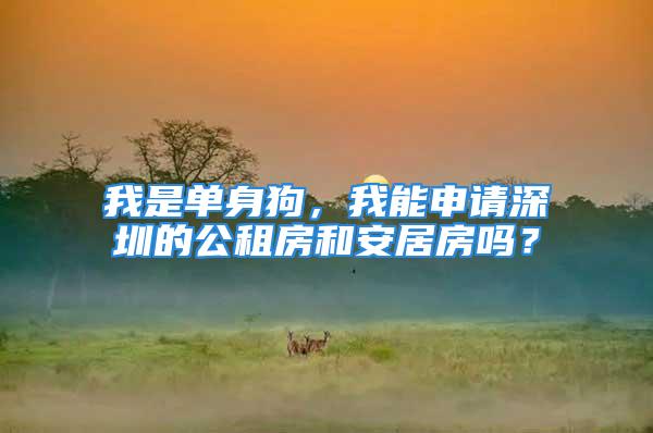 我是單身狗，我能申請深圳的公租房和安居房嗎？