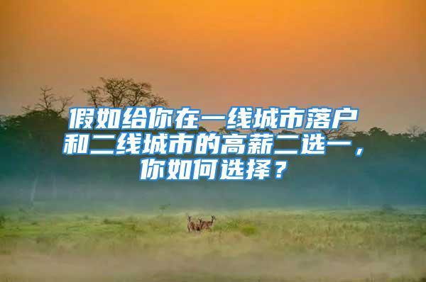 假如給你在一線城市落戶和二線城市的高薪二選一，你如何選擇？