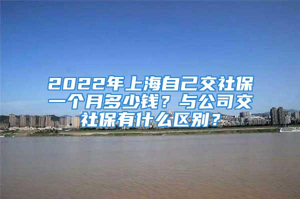 2022年上海自己交社保一個月多少錢？與公司交社保有什么區(qū)別？