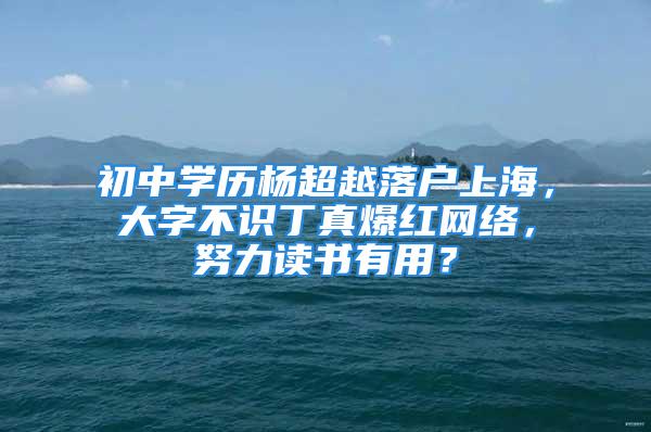 初中學歷楊超越落戶上海，大字不識丁真爆紅網絡，努力讀書有用？