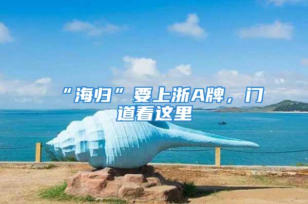 “海歸”要上浙A牌，門道看這里