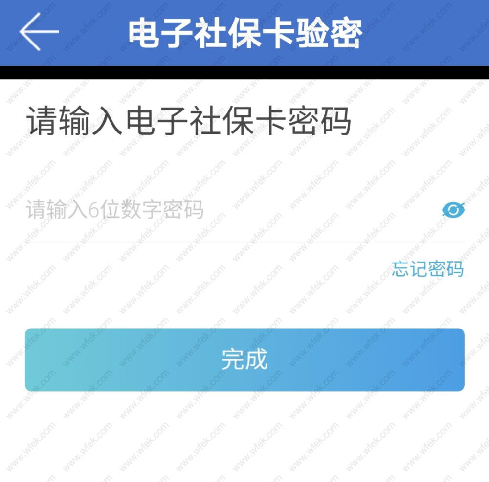 上海社?；鶖?shù)查詢流程