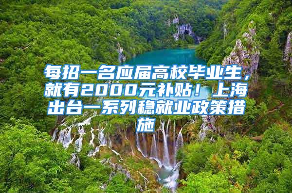 每招一名應屆高校畢業(yè)生，就有2000元補貼！上海出臺一系列穩(wěn)就業(yè)政策措施