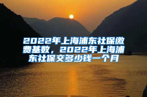 2022年上海浦東社保繳費基數(shù)，2022年上海浦東社保交多少錢一個月