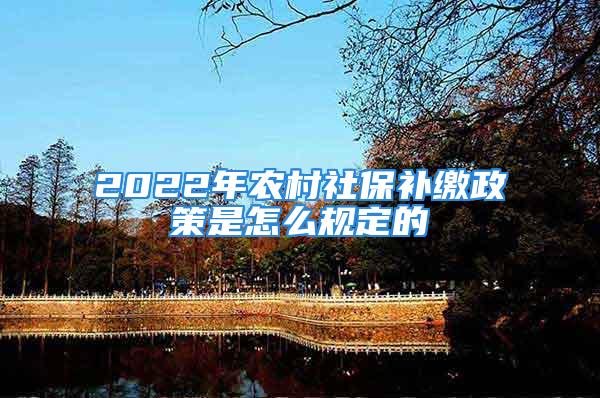 2022年農(nóng)村社保補繳政策是怎么規(guī)定的