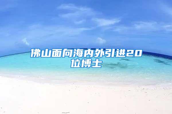 佛山面向海內(nèi)外引進20位博士