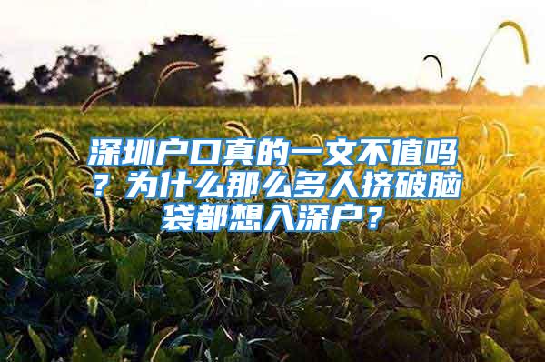 深圳戶口真的一文不值嗎？為什么那么多人擠破腦袋都想入深戶？