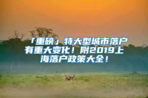 「重磅」特大型城市落戶有重大變化！附2019上海落戶政策大全！