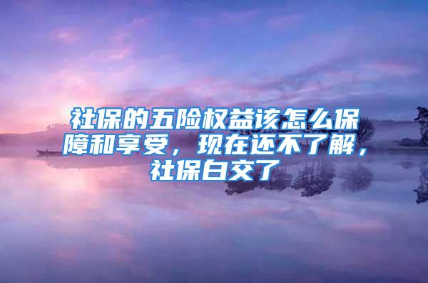 社保的五險權(quán)益該怎么保障和享受，現(xiàn)在還不了解，社保白交了