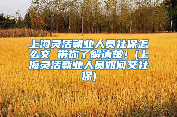 上海靈活就業(yè)人員社保怎么交 帶你了解清楚！(上海靈活就業(yè)人員如何交社保)