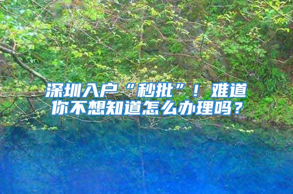 深圳入戶“秒批”! 難道你不想知道怎么辦理嗎？