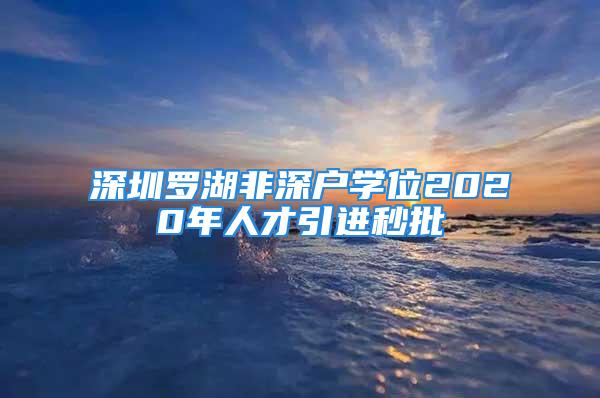 深圳羅湖非深戶學(xué)位2020年人才引進(jìn)秒批