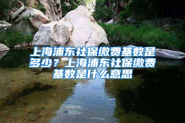 上海浦東社保繳費(fèi)基數(shù)是多少？上海浦東社保繳費(fèi)基數(shù)是什么意思