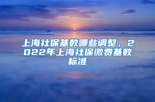 上海社保基數(shù)哪些調(diào)整，2022年上海社保繳費(fèi)基數(shù)標(biāo)準(zhǔn)