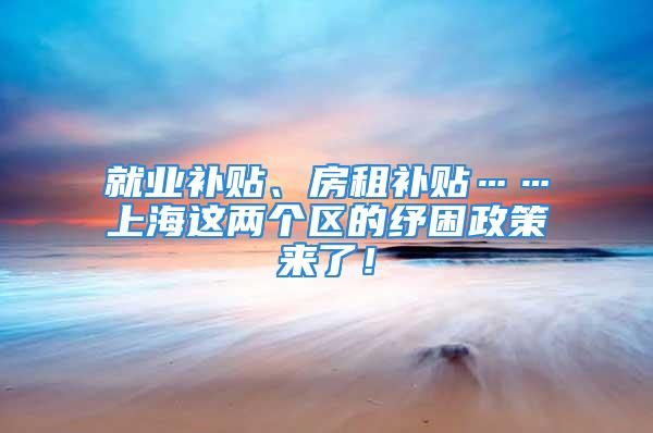 就業(yè)補貼、房租補貼……上海這兩個區(qū)的紓困政策來了！