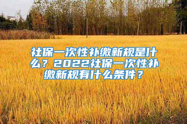 社保一次性補(bǔ)繳新規(guī)是什么？2022社保一次性補(bǔ)繳新規(guī)有什么條件？