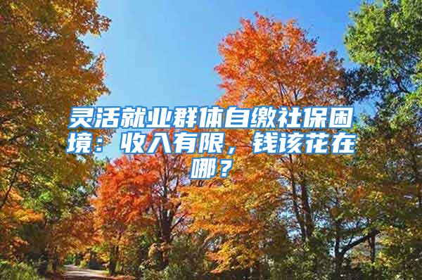 靈活就業(yè)群體自繳社保困境：收入有限，錢該花在哪？