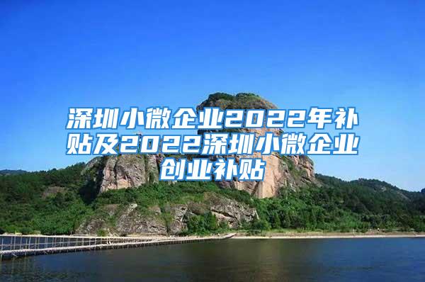 深圳小微企業(yè)2022年補(bǔ)貼及2022深圳小微企業(yè)創(chuàng)業(yè)補(bǔ)貼