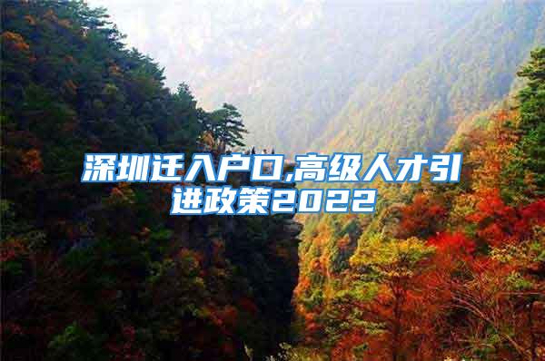 深圳遷入戶口,高級人才引進(jìn)政策2022