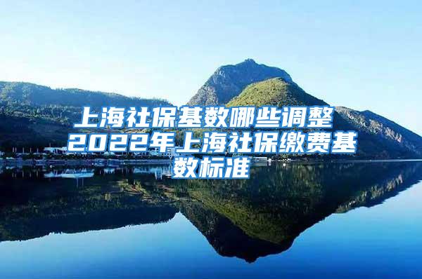 上海社?；鶖?shù)哪些調(diào)整 2022年上海社保繳費(fèi)基數(shù)標(biāo)準(zhǔn)