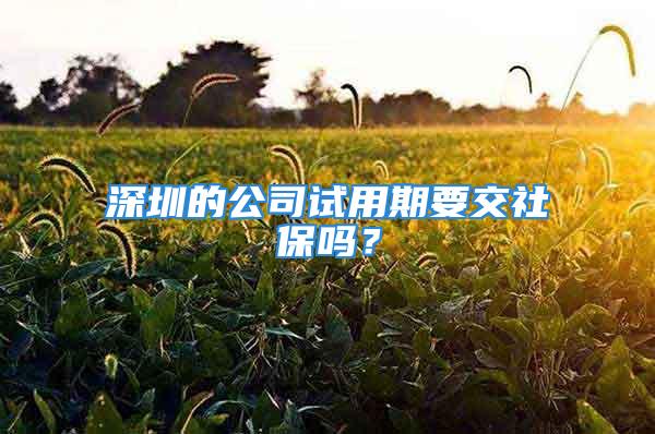 深圳的公司試用期要交社保嗎？