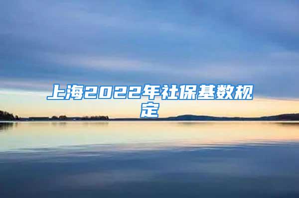 上海2022年社?；鶖?shù)規(guī)定