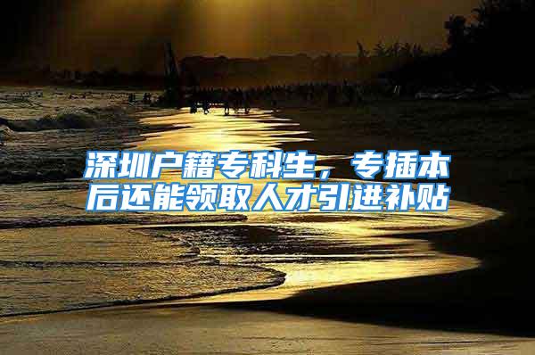 深圳戶籍?？粕?，專插本后還能領(lǐng)取人才引進(jìn)補貼