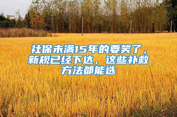 社保未滿15年的要笑了，新規(guī)已經(jīng)下達(dá)，這些補(bǔ)救方法都能選