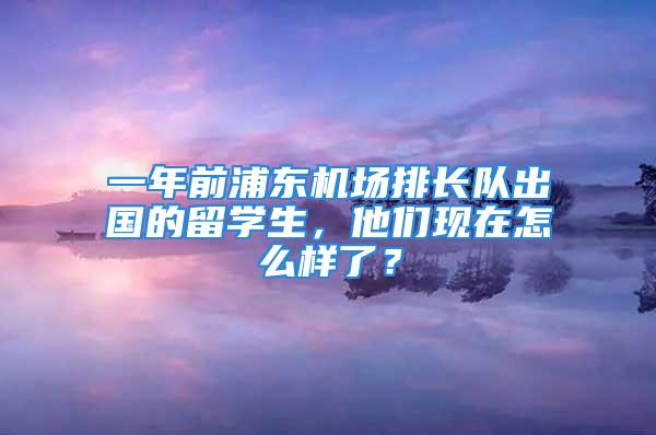 一年前浦東機(jī)場排長隊出國的留學(xué)生，他們現(xiàn)在怎么樣了？